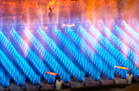 Bournside gas fired boilers